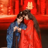 矢车菊