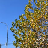 喝杯茶冷静一下