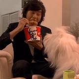 袁湘琴