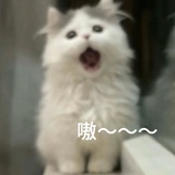 。。。