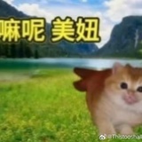 菠菜贱卖菠菜！