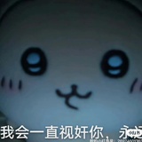 骂我女神的去丝