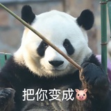起司咸乳酪