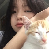 打倒拖延症