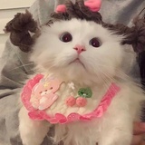 豆友223428422