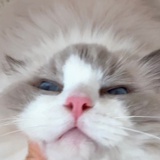 一会吃什么