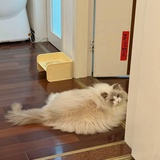 一会吃什么