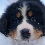 ૮₍ ˶ᵔᵕᵔ˶₎ა