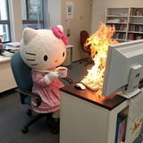 不要吃兔兔