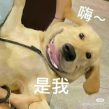 可爱小狗