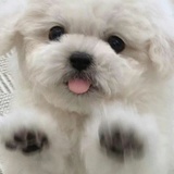 零食袋
