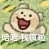 404邪恶小狗