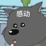 海芋恋