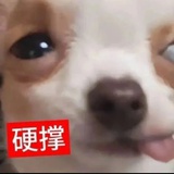 我却爱着个糊比