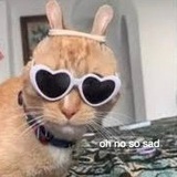 OnionBlue