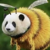 看什么