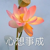 煎鱼bot