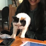 贴贴小猴子