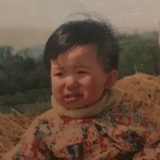 积极划水的豆