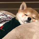 你真带我撞树？