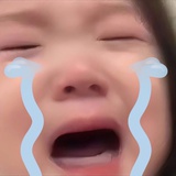 付雪梨