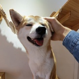 潜匿
