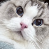 坏端端好起来了