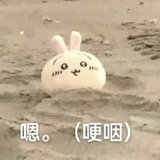 广州ttg、宠爱