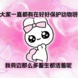 小鱼酱