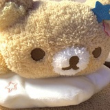 桔梗