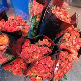 3.28 6📖💚🌸🛬