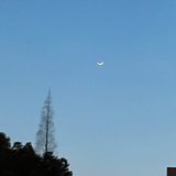 小破破