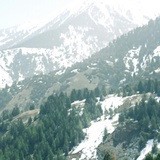 山河故人
