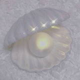 宝贝子