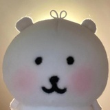 没给袁朗打麻药