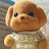 Boo要太可爱了