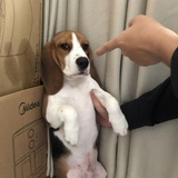 95颜永一