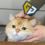 GEN_Peyz