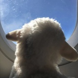 宇宙浪漫入眠者