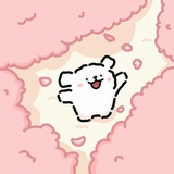 樱花卷饼