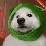 不只是場夢