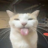 哩咪哩咪