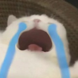 晚饭吃什么