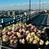 无锡的夏天真热