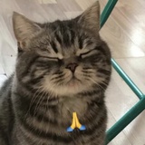 oops是曦曦