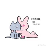 苏眉