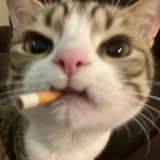 烦了
