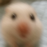 鱼难吃