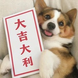 闪亮登场卷大王