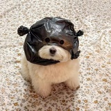 向着月亮